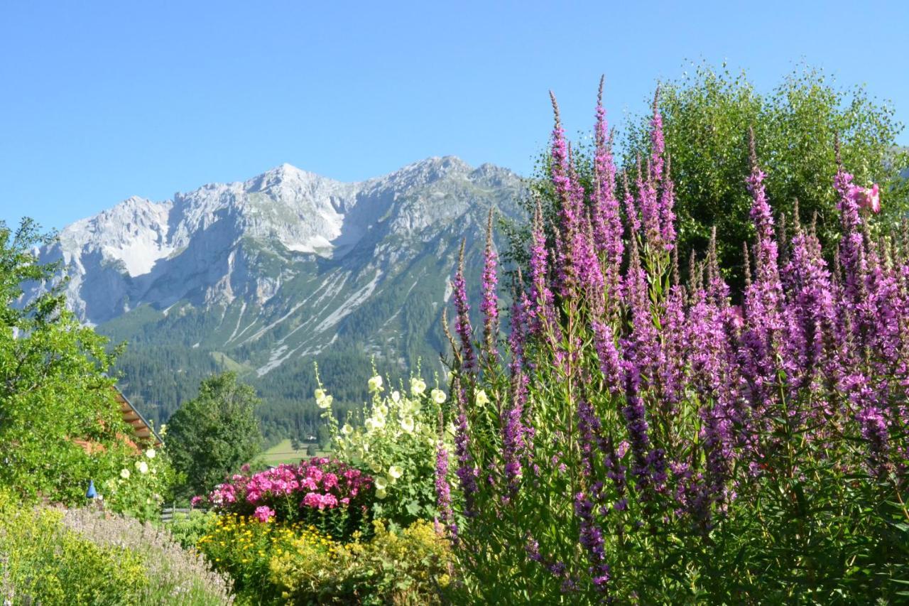 Pension Moeslehnerhof Ramsau am Dachstein Buitenkant foto