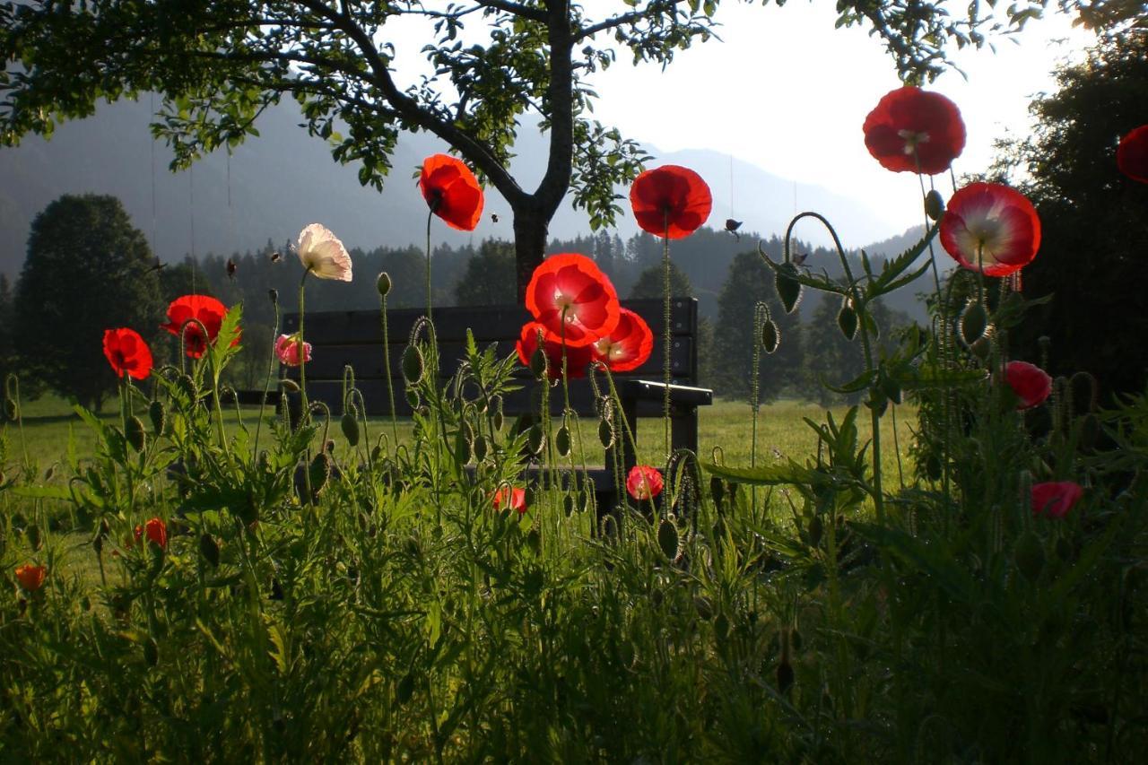 Pension Moeslehnerhof Ramsau am Dachstein Buitenkant foto