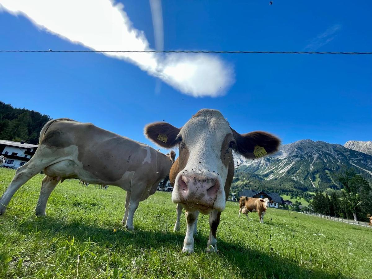 Pension Moeslehnerhof Ramsau am Dachstein Buitenkant foto