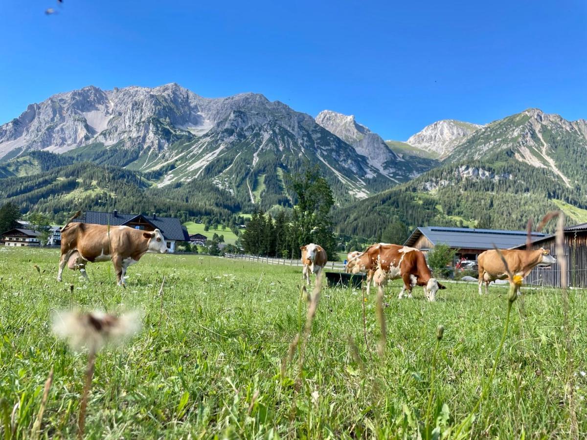 Pension Moeslehnerhof Ramsau am Dachstein Buitenkant foto